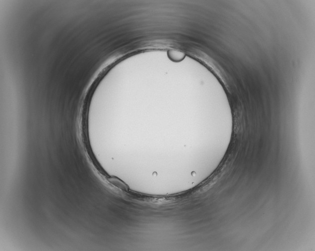 X0000110921139200907161514