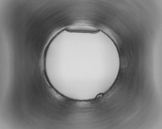 X0000110921140200907161514