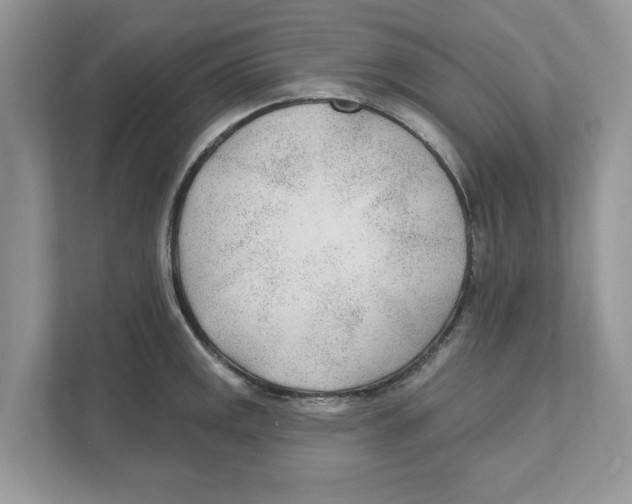 X0000110921141200907161514