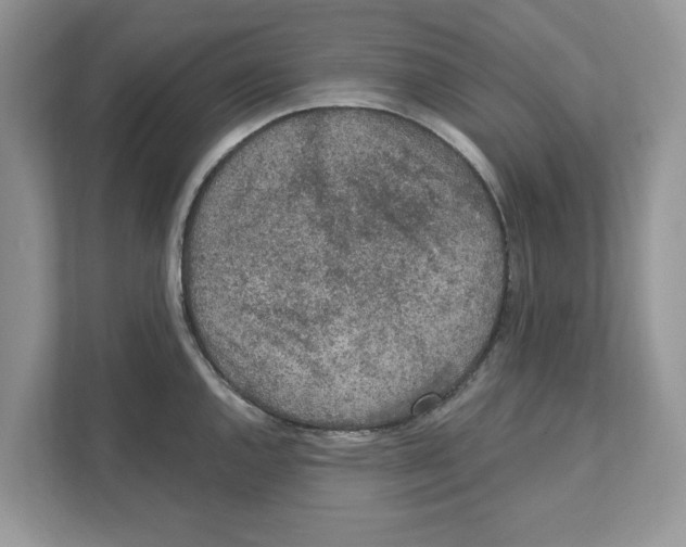 X0000110921144200907161514