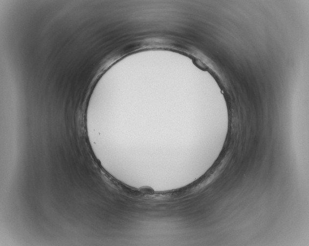 X0000110921145200907161514