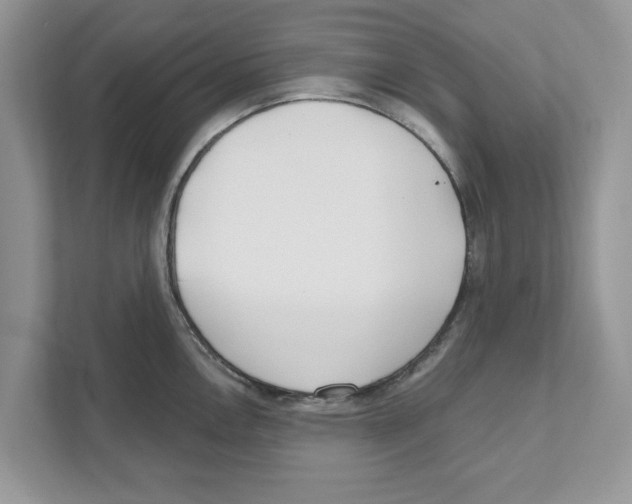 X0000110921146200907161514