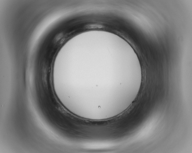 X0000110921151200907161514