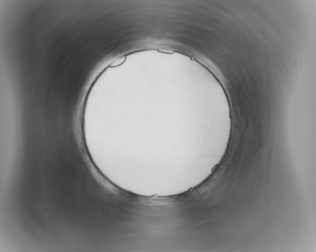 X0000110921152200907161514