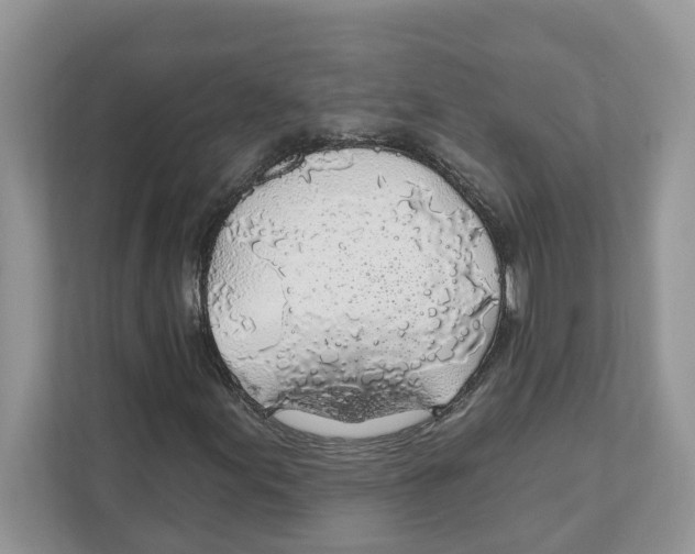 X0000110921155200907161513