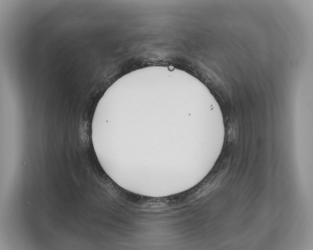 X0000110921156200907161513