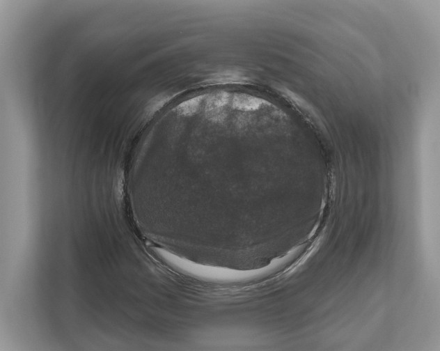 X0000110921161200907161513