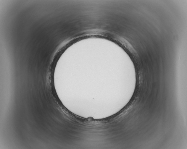 X0000110921164200907161513