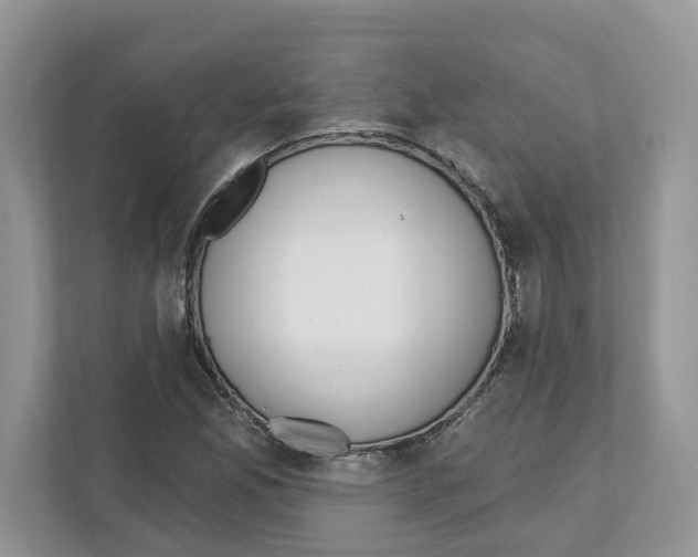 X0000110921165200907161513
