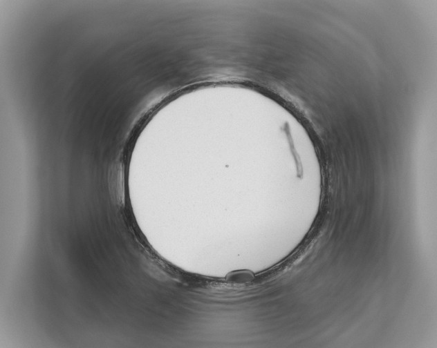 X0000110921171200907161513