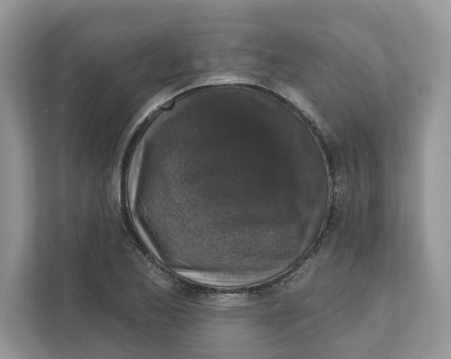 X0000110921173200907161513