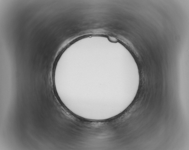 X0000110921176200907161513