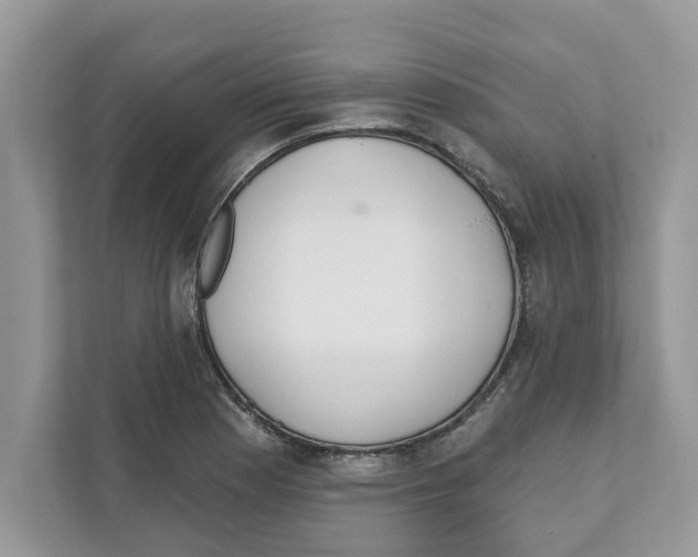 X0000110921177200907161513