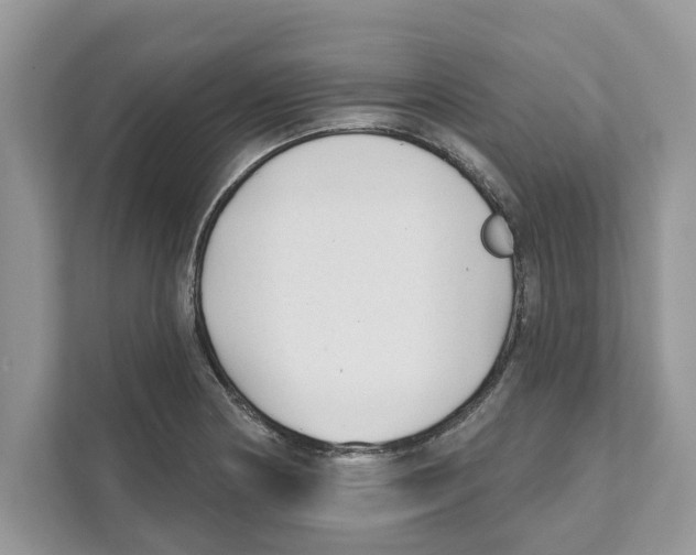 X0000110921178200907161513