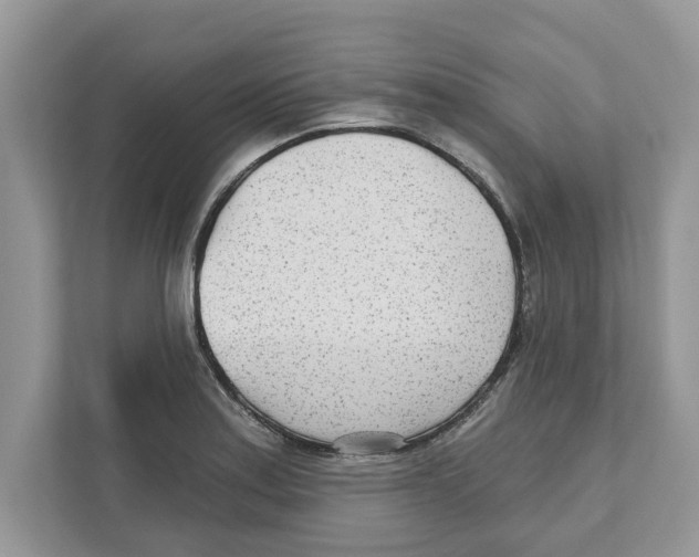 X0000110921179200907161513