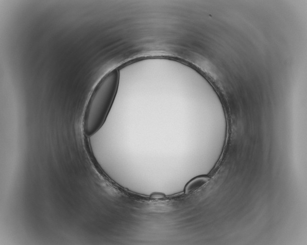 X0000110921181200907161513