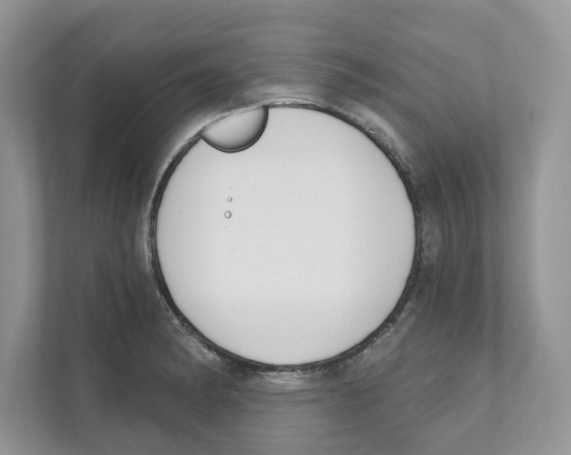 X0000110921182200907161513
