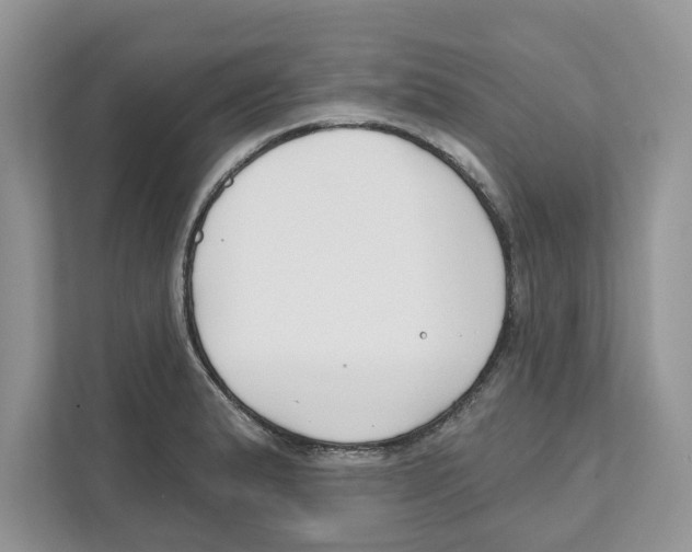 X0000110921183200907161513