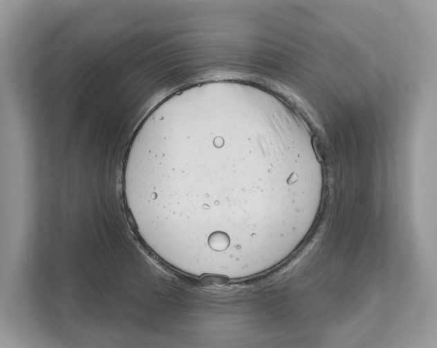 X0000110921185200907161513
