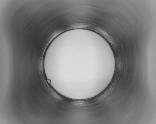 X0000110921186200907161513