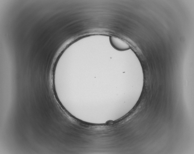 X0000110921188200907161513