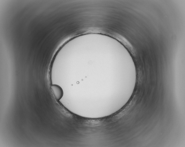 X0000110921190200907161513