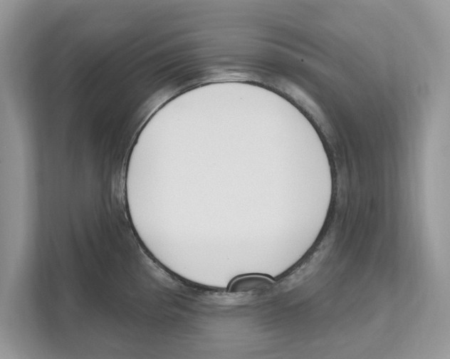 X0000110921193200907161512