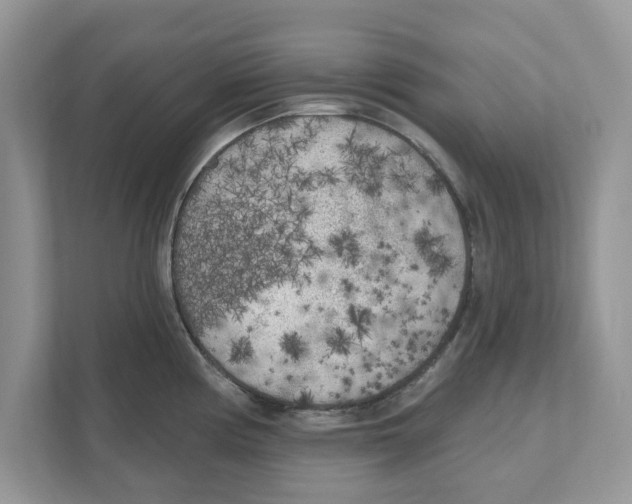 X0000110921194200907161512