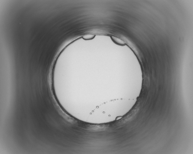 X0000110921195200907161512