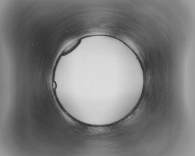 X0000110921197200907161512