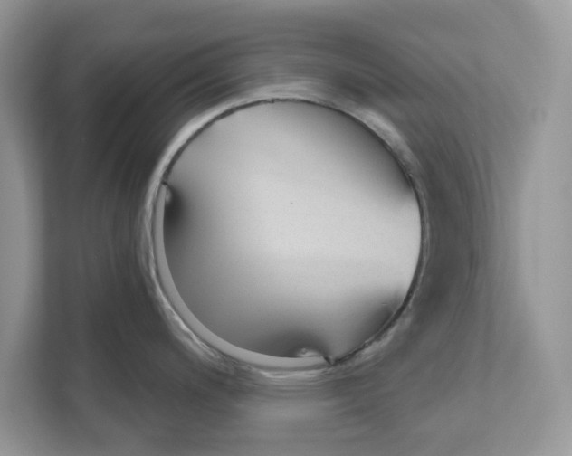X0000110921200200907161512