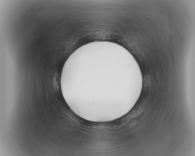 X0000110921202200907161512