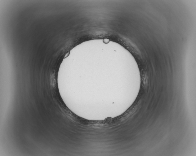 X0000110921204200907161512