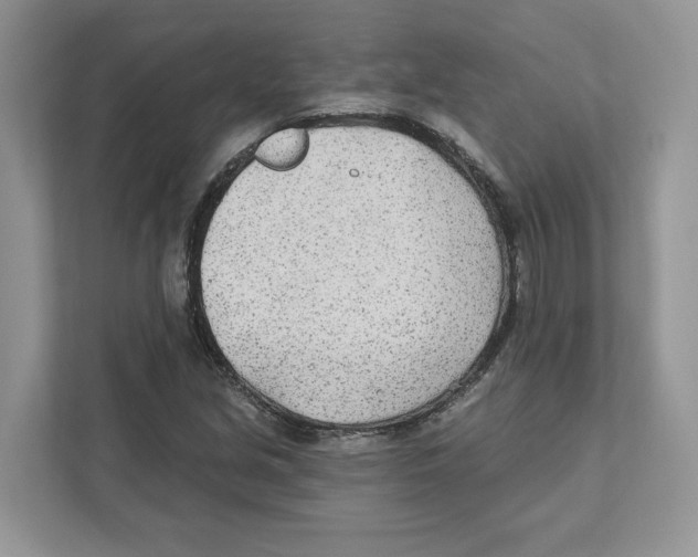 X0000110921213200907161512