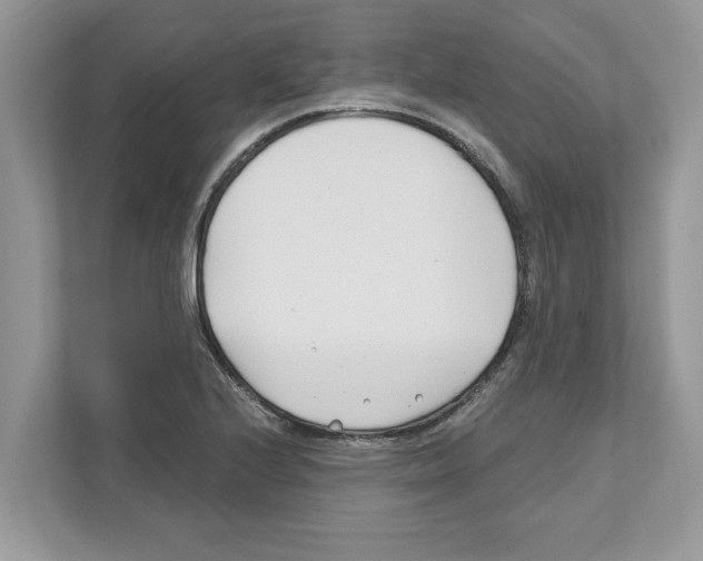 X0000110921224200907161512