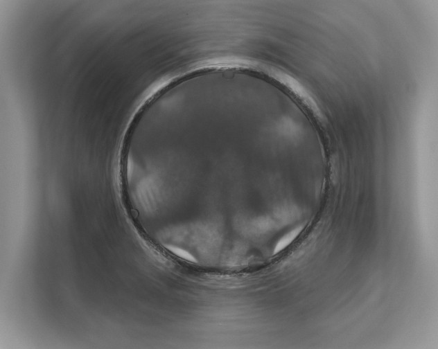 X0000110921229200907161512