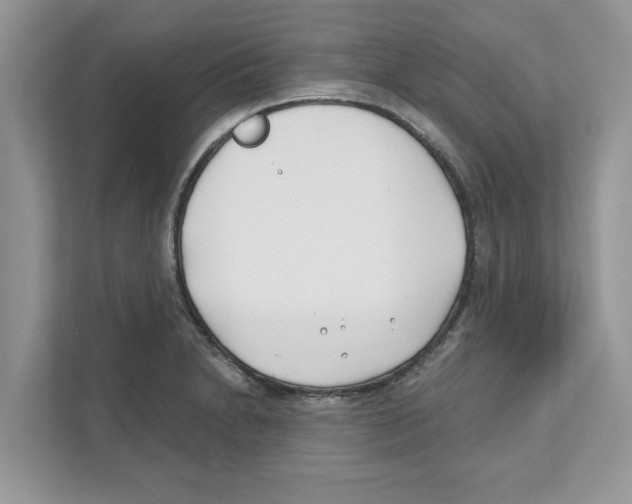 X0000110921230200907161512