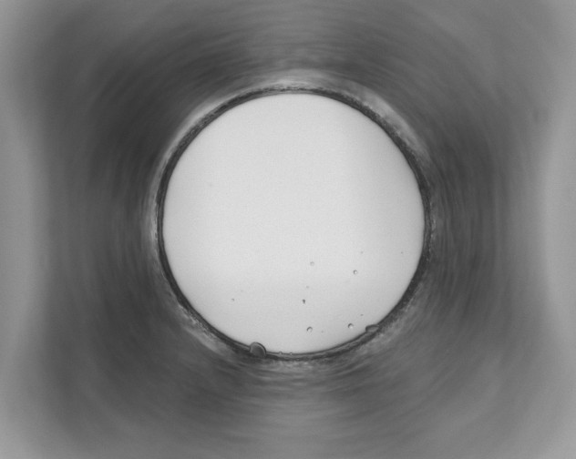 X0000110921232200907161512