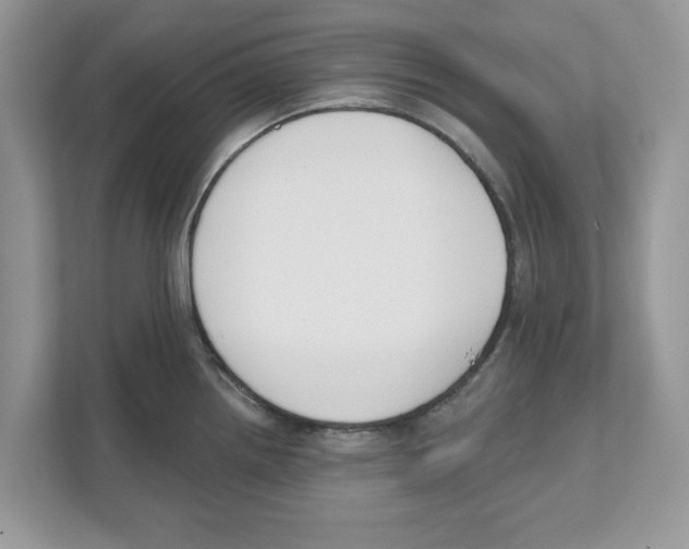 X0000110921242200907161512