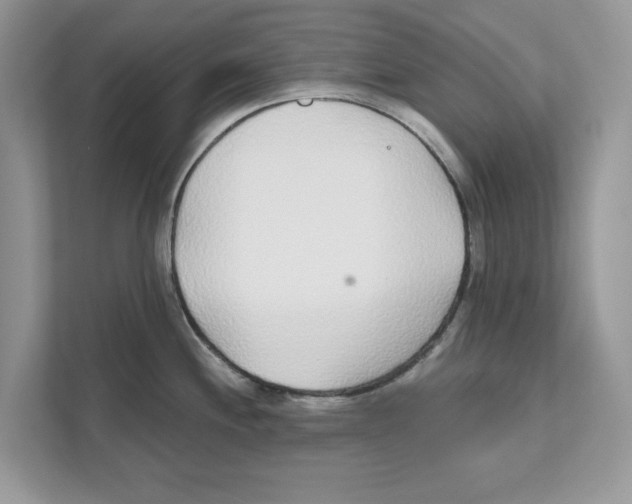 X0000110921244200907161512