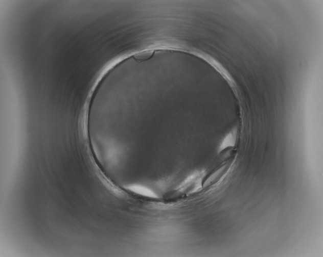 X0000110921246200907161512