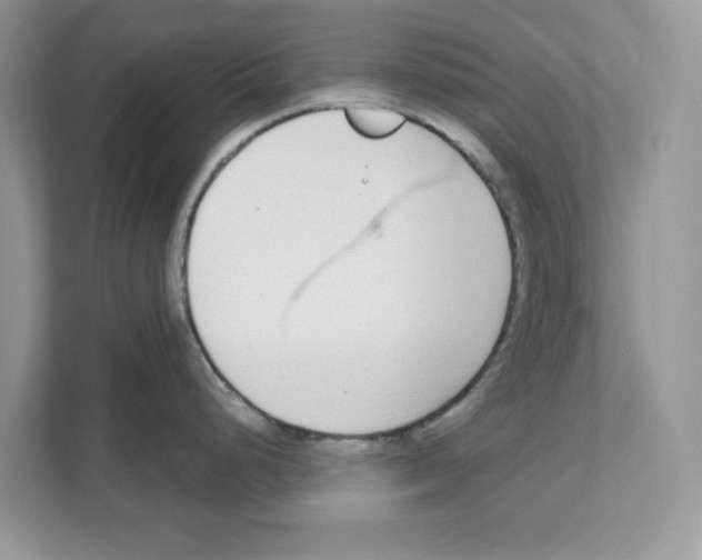 X0000110921248200907161512