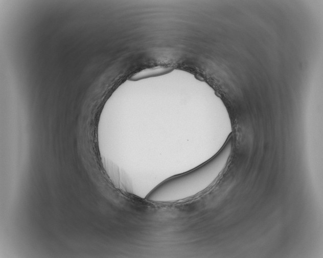 X0000110921249200907161512