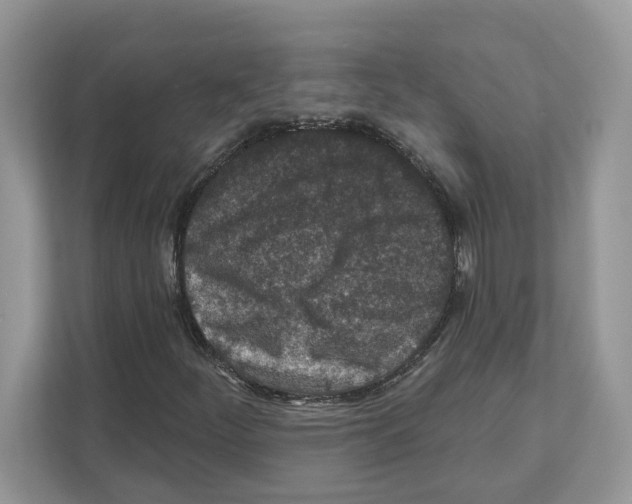 X0000110921252200907161512
