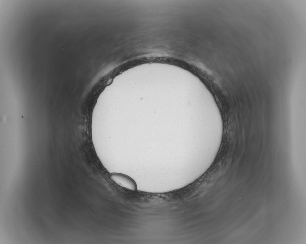 X0000110921255200907161512
