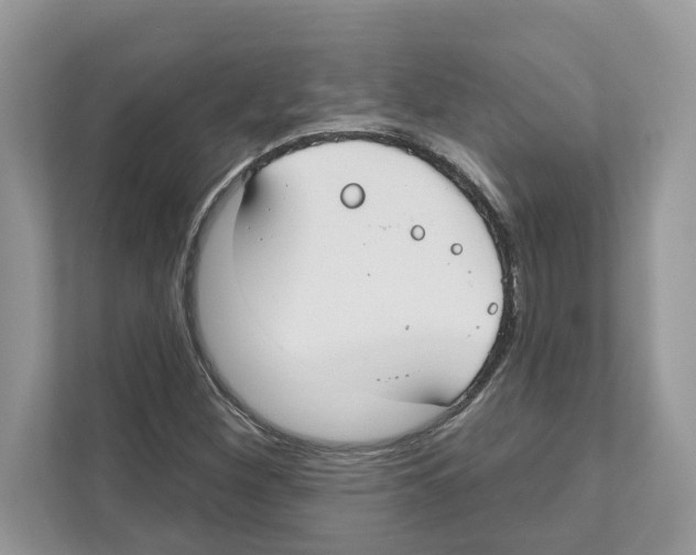 X0000110921260200907161512