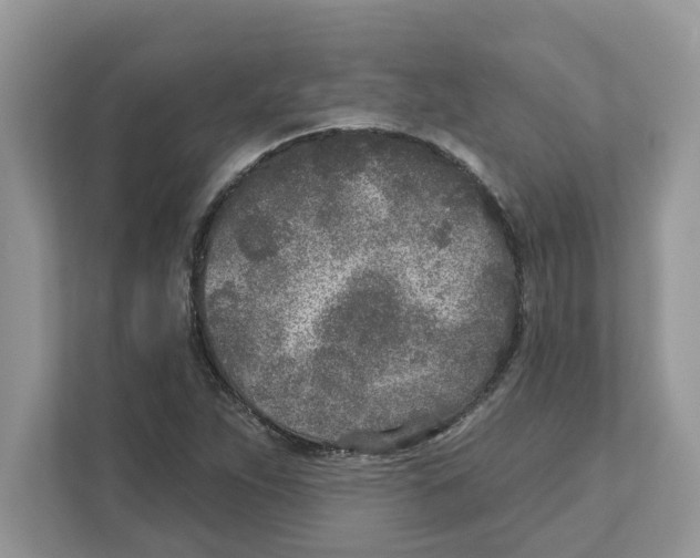 X0000110921263200907161512