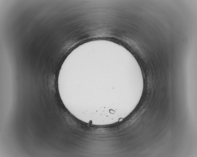 X0000110921265200907161512