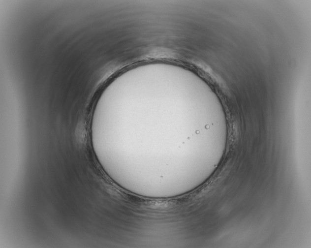 X0000110921266200907161512