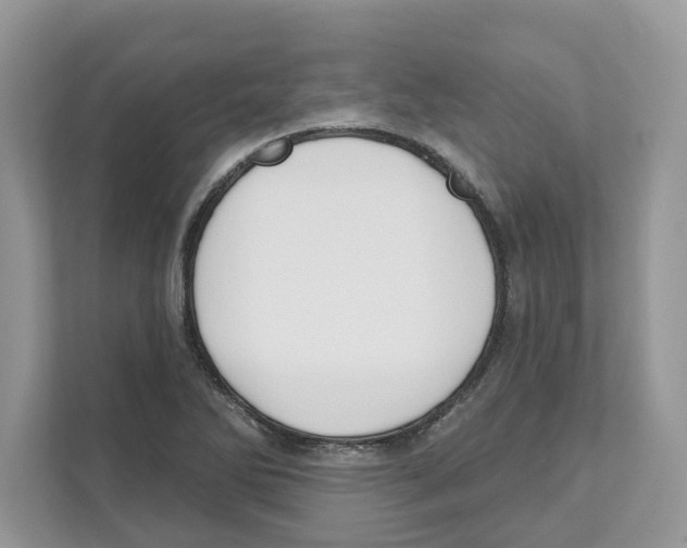 X0000110921270200907161511